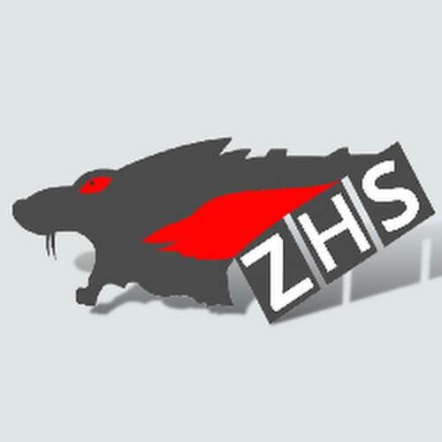 zhstop.com
