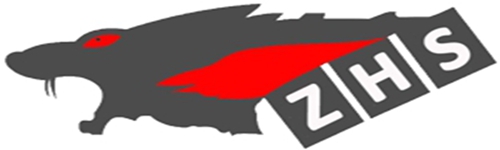 Qingdao ZHS Machinery Co., Ltd